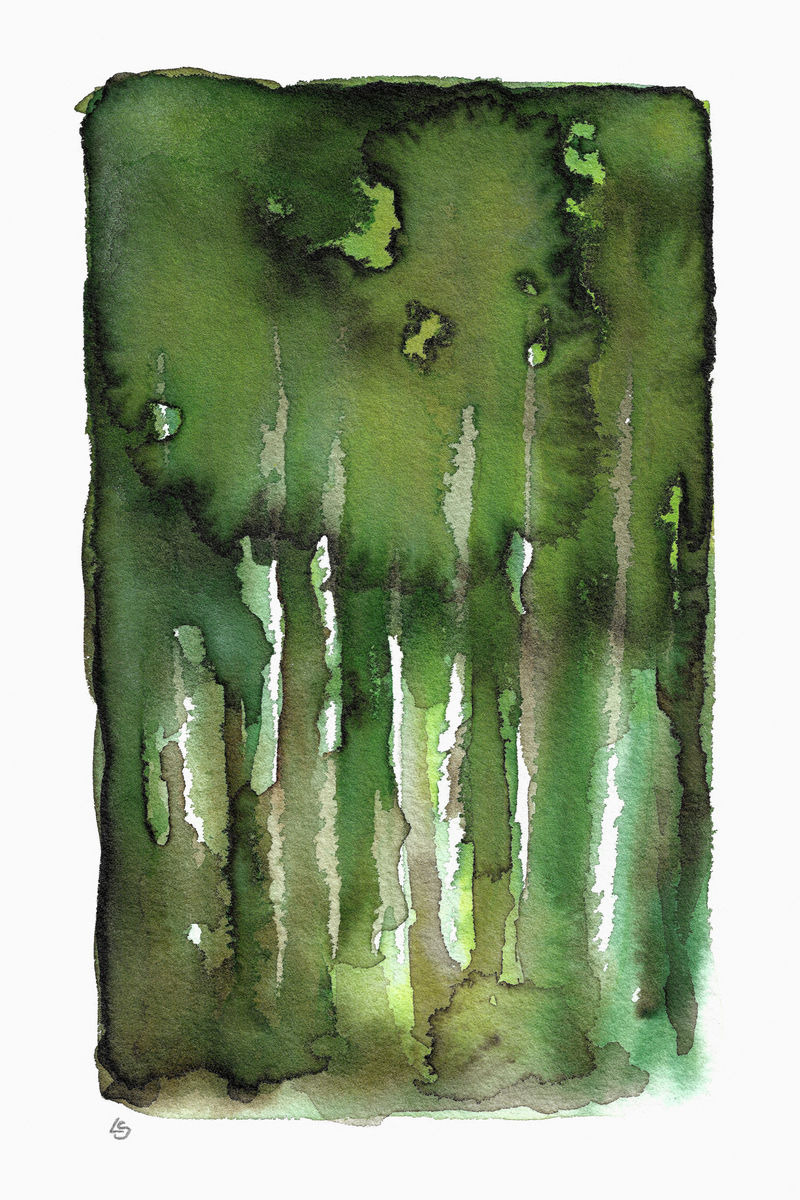 INTO THE WOODS